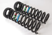 Mercedes 1293211704 Suspension Coil Spring x2 - Front | R129 SL
