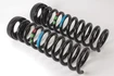 Mercedes 1293211704 Suspension Coil Spring x2 - Front | R129 SL