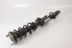 Mercedes 2053208602 AMG Suspension Strut - Front Right | W205 C