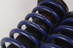 Mercedes 2303240204 Suspension Coil Spring Set x2 - Rear | R230 SL