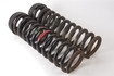Mercedes 1293211704 Suspension Coil Spring - Front (a) | R129 SL