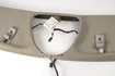 Mercedes 2306901725 Overhead Trim - Front Grey | R230 SL