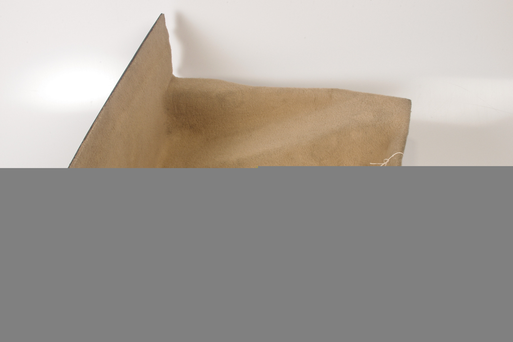 Mercedes 1296903230 Battery Cover - Tan | R129 SL