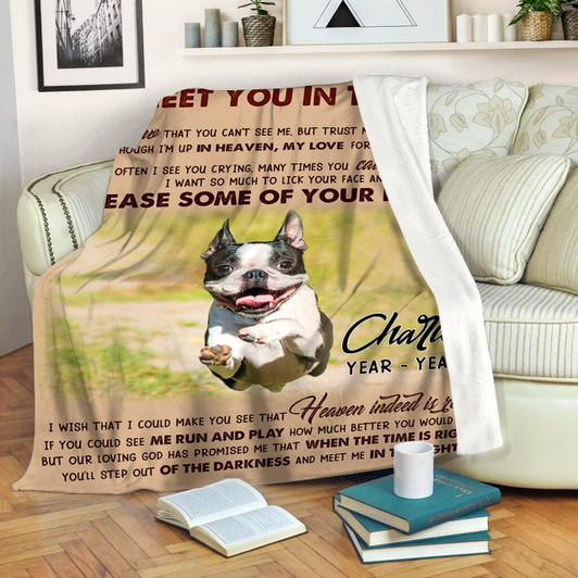 Personalized Dog Memorial Blanket I'Ll Meet You In The Light Blanket Dog Loss Gift Memorial Blanket For Dog Sympathy Gift For Dog Owners Dog Memorial Gift For Pet Owners