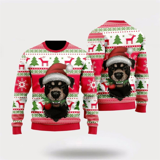 Goofygearprints Dog Santas Hat Holiday Ugly Christmas Sweater For Men And Women, Gift For Christmas, Best Winter Christmas Outfit