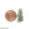 BESEDNICE MOLDAVITE 1.69 GRAMS - MUSEUM QUALITY (MB2A007)