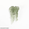 BESEDNICE MOLDAVITE 1.26 GRAMS - MUSEUM QUALITY (MB2A008)