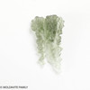 BESEDNICE MOLDAVITE 1.26 GRAMS - MUSEUM QUALITY (MB2A008)