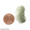 BESEDNICE MOLDAVITE 2.54 GRAMS - MUSEUM QUALITY (MB2A011)