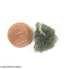 MOLDAVITE 3.9 GRAMS - MUSEUM QUALITY (MM622406)