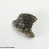 MOLDAVITE 1.62 GRAMS - MUSEUM - mini collection (MINIM167) MOLDAVITE 1.62 GRAMS - MUSEUM - mini collection (MINIM167)