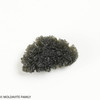 MOLDAVITE 7.44 GRAMS - COLLECTIBLE QUALITY (MA23098)
