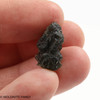 MOLDAVITE 2.04 GRAMS - REGULAR QUALITY ( MR622382 )
