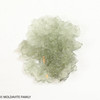 BESEDNICE MOLDAVITE 1.95 GRAMS - MUSEUM QUALITY (MB2A025)