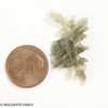 BESEDNICE MOLDAVITE 1.31 GRAMS - MUSEUM QUALITY (MB2A027)