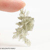 BESEDNICE MOLDAVITE 1.31 GRAMS - MUSEUM QUALITY (MB2A027)