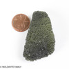 MOLDAVITE 17.69 GRAMS - COLLECTIBLE QUALITY (MA23103)