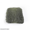 MOLDAVITE 17.58 GRAMS - COLLECTIBLE QUALITY (MA23104)