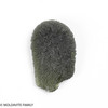 MOLDAVITE 11.93 GRAMS - COLLECTIBLE QUALITY (MA23106)