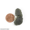 MOLDAVITE 6.57 GRAMS - COLLECTIBLE QUALITY (MA23115)