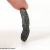 MOLDAVITE 6.05 GRAMS - COLLECTIBLE QUALITY (MA23116)