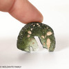 MOLDAVITE 6.51 GRAMS - COLLECTIBLE QUALITY (MA23118)