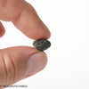 MOLDAVITE 2.93 GRAMS - COLLECTIBLE QUALITY (MA23122)