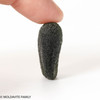 MOLDAVITE 10.36 GRAMS - COLLECTIBLE QUALITY (MA23124)