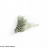 MOLDAVITE 1.08 GRAMS - MUSEUM - mini collection (MINIC154)