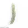 MOLDAVITE 1.18 GRAMS - MUSEUM - mini collection (MINIC165)