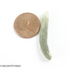 MOLDAVITE 1.18 GRAMS - MUSEUM - mini collection (MINIC165)
