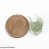 MOLDAVITE 0.64 GRAMS - MUSEUM - mini collection (MINIC170)