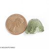 MOLDAVITE 1.01 GRAMS - MUSEUM - mini collection (MINIC174)