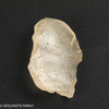LIBYAN DESERT GLASS - 7.9 GRAMS (LDG22268)