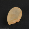LIBYAN DESERT GLASS - 9.65 GRAMS (LDG22275)