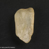 LIBYAN DESERT GLASS - 7.41 GRAMS (LDG22280)