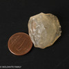 LIBYAN DESERT GLASS - 6.62 GRAMS (LDG22302)
