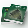 Moldavite - The Gemstone That Fell To The Earth - BOOK