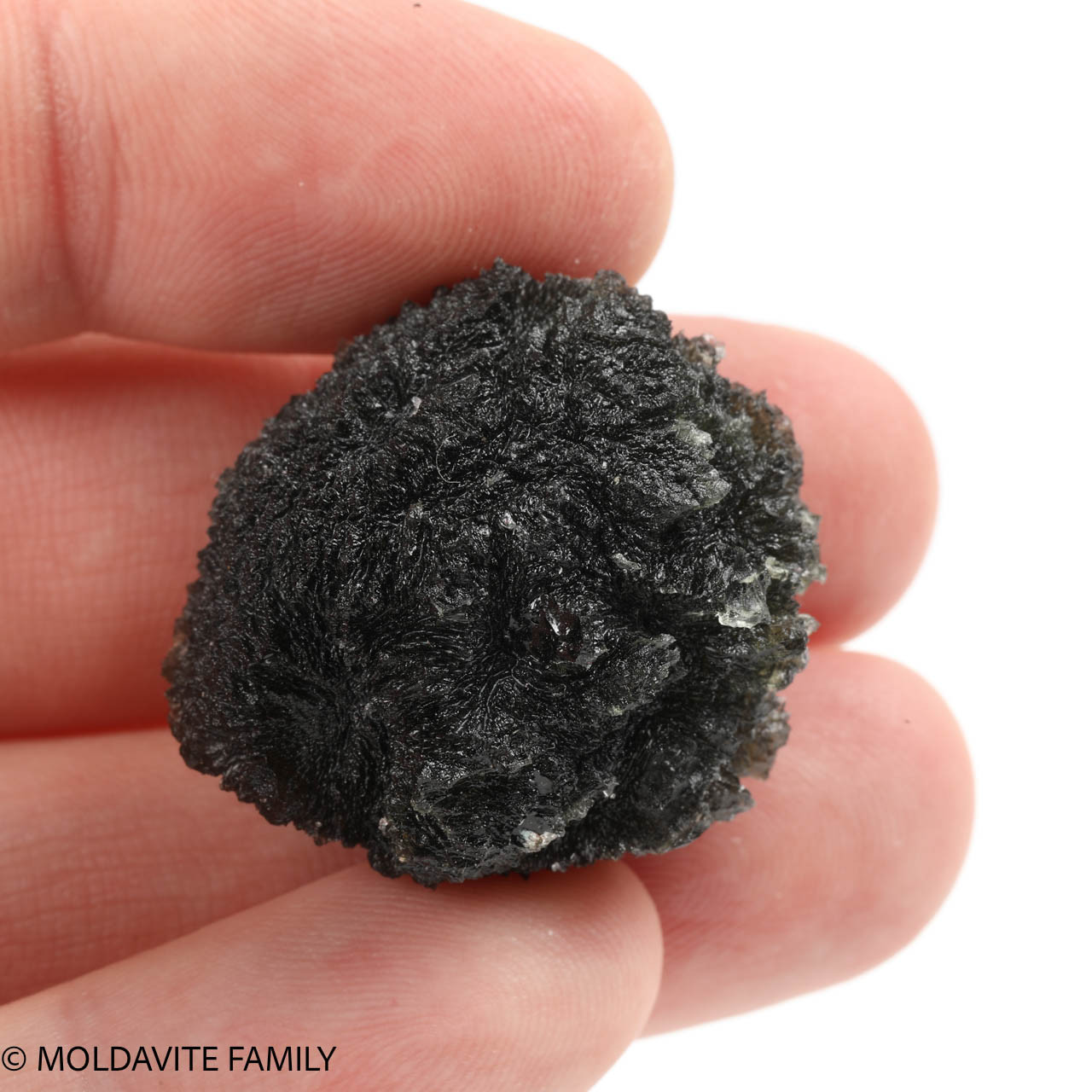 MOLDAVITE 18.4 GRAMS - MUSEUM GRADE (MM322017) - Moldavite Family