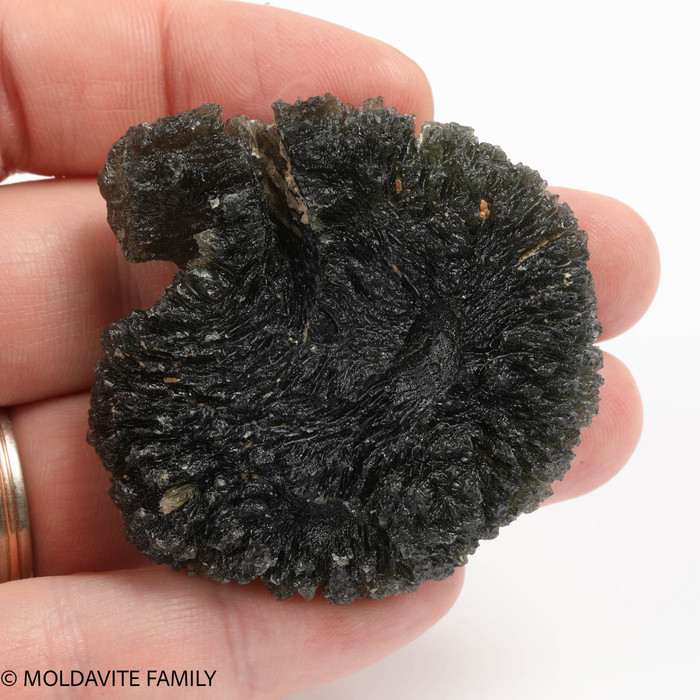 Moldavite 42.9 grams  - Special piece (MA22007)