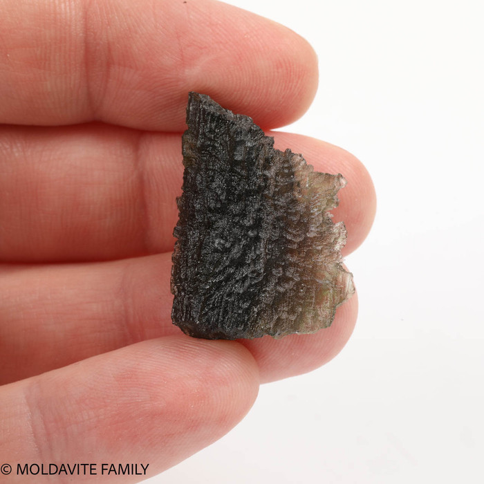 MOLDAVITE 5.5 GRAMS - MUSEUM QUALITY ( MM622232 )