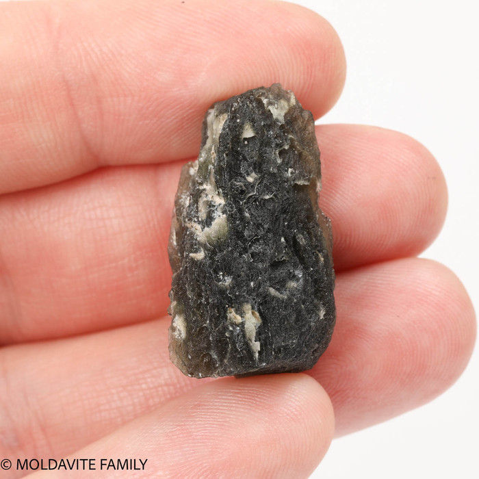 MOLDAVITE 8.3 GRAMS - Nesmen Zahrada Collection ( MNZ002 )