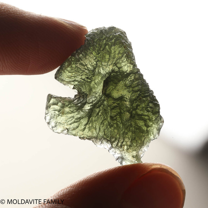 MOLDAVITE 7 GRAMS - MUSEUM QUALITY ( MM522072 )
