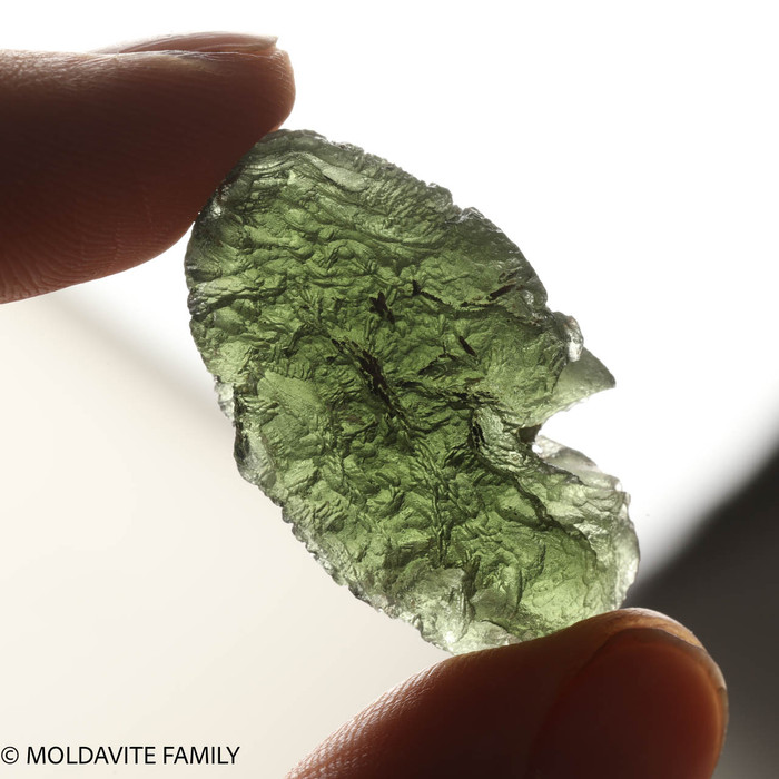 MOLDAVITE 9.3 GRAMS - MUSEUM QUALITY ( MM522095 )
