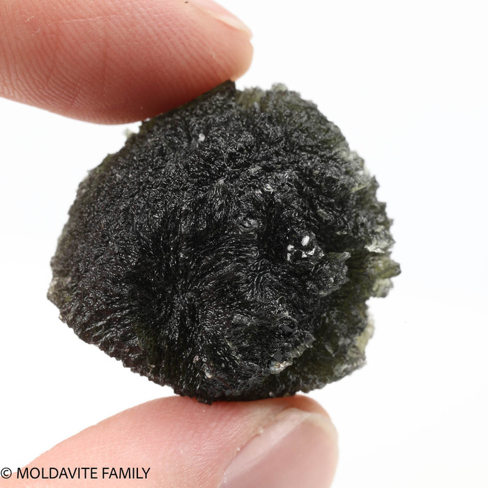 MOLDAVITE 18.4 GRAMS - MUSEUM GRADE (MM322017)