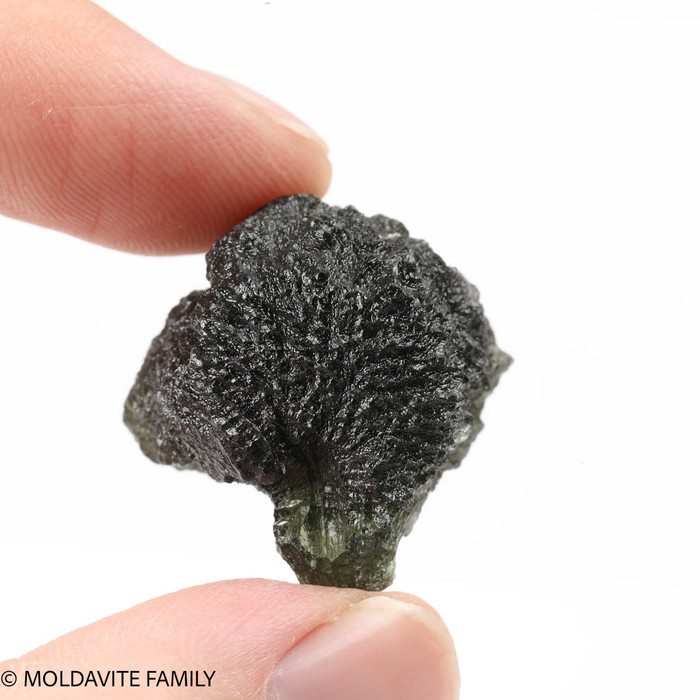 MOLDAVITE 18.2 GRAMS - REGULAR GRADE (MR322020)