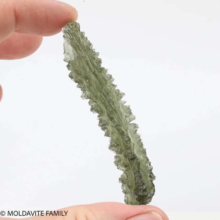 BESEDNICE MOLDAVITE 8.02 GRAMS - COLLECTIBLE (MBAAA005)