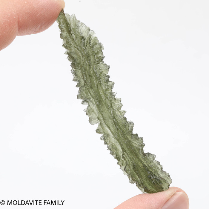 BESEDNICE MOLDAVITE 8.02 GRAMS - COLLECTIBLE (MBAAA005)