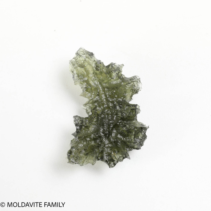 BESEDNICE MOLDAVITE 1.46 GRAMS - COLLECTIBLE (MBAAA006)