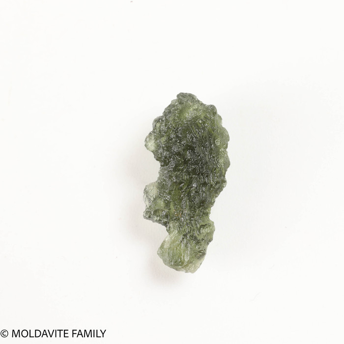 MOLDAVITE 1.18 GRAMS - MUSEUM - mini collection (MINIC120)